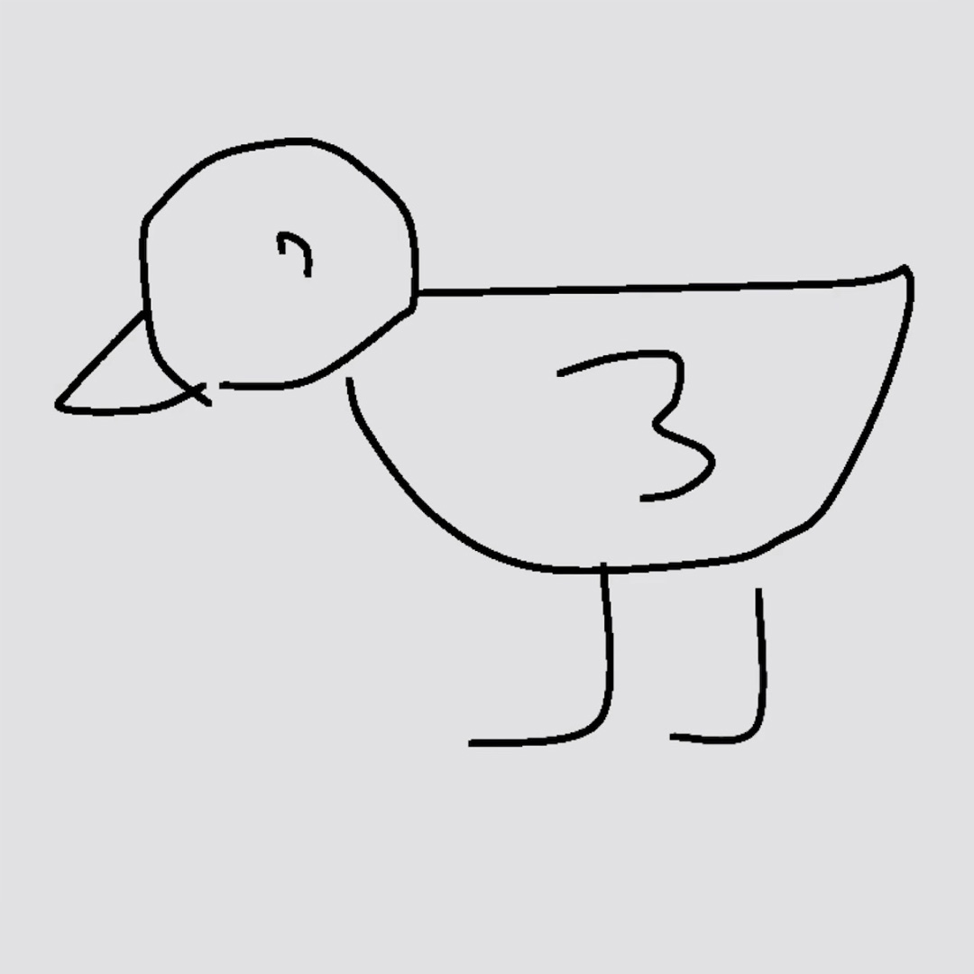 Quick Draw birds